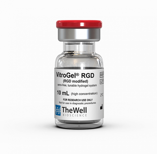 D Cell Culture Of Glioblastoma Cell U Mg In Vitrogel Thewell