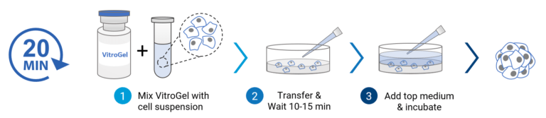 Vitrogel Hydrogel Matrix D Cell Culture Thewell Bioscience