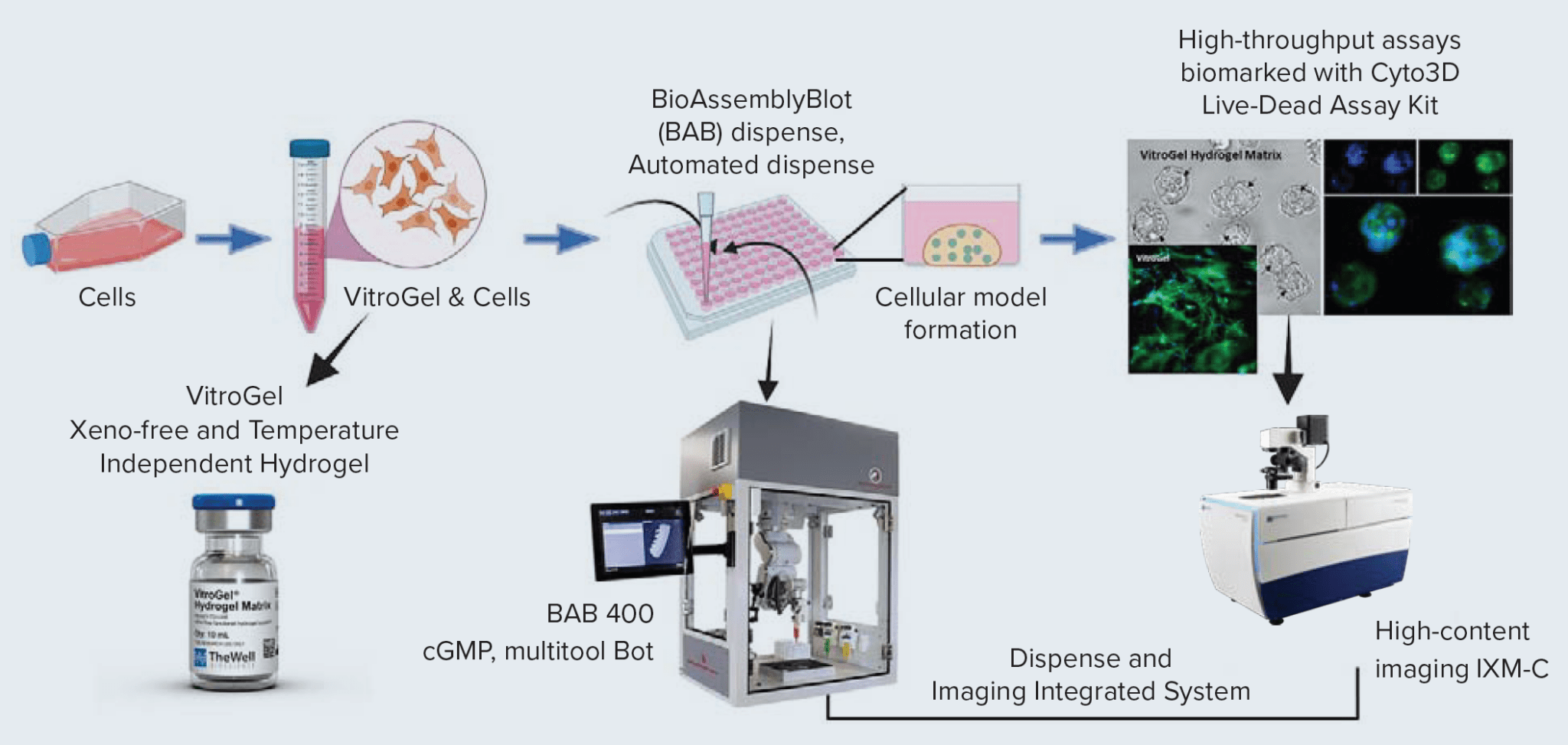 D Cell Culture Xeno Free Hydrogels Bioinks Thewell Bioscience