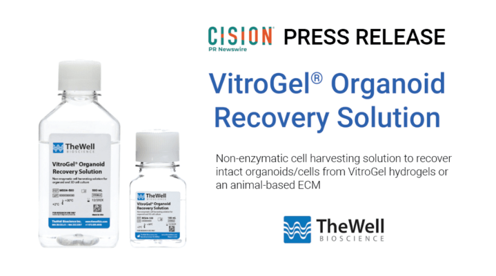 TheWell Bioscience Announces Launch Of VitroGel Organoid Recovery