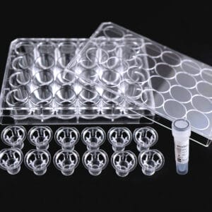 VitroGel Cell Invasion Assay Kit