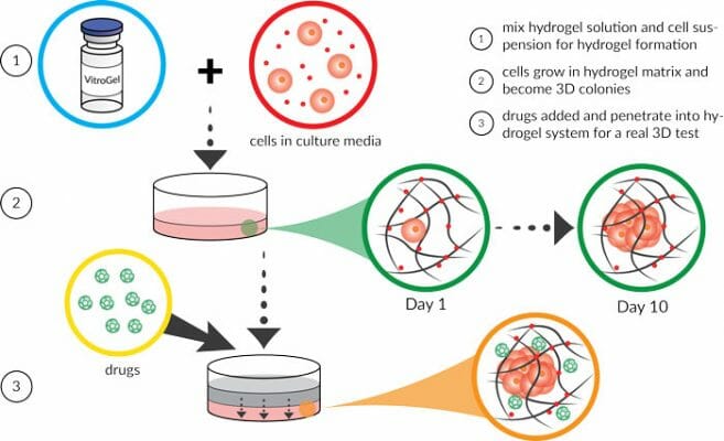 applications_3D-culture_4 | TheWell Bioscience