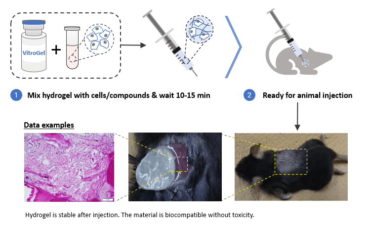 Injectable-Carrier-Example.png