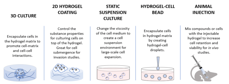 3D cell culture methods and applications