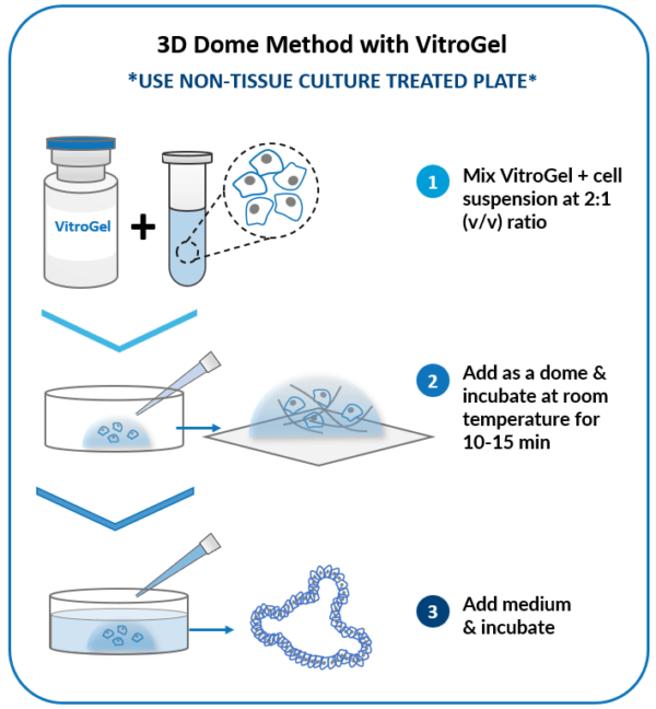 3D ORGANOID Cell Culture Xenofree Hydrogel TheWell Bioscience