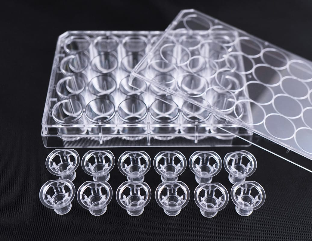 VitroGel Cell Culture Inserts for migration and invasion assay studies.