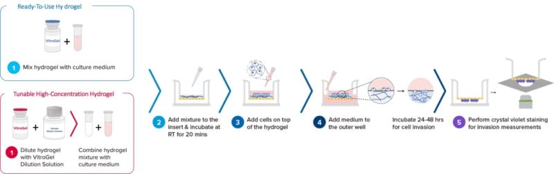 VitroGel® Cell Invasion Assay Kits | Cell Migration Xeno-Free