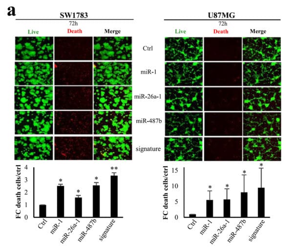 Cyto3D® Live-Dead Assay Kit for 3D / 2D Cell Culture