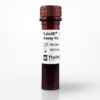 Cyto3D® Live-Dead Assay Kit