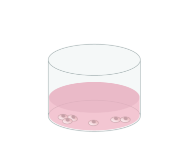 Cell Culture and Scale-up of Human Pluripotent Stem Cells