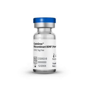 CytoGrow™ Recombinant BDNF (Human) CHO, Tag Free