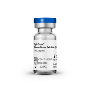 CytoGrow™ Recombinant Fetuin A (Bovine), CHO, Tag Free