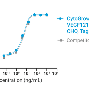 CytoGrow™ VEGF121 Human Recombinant Protein Bioactivity