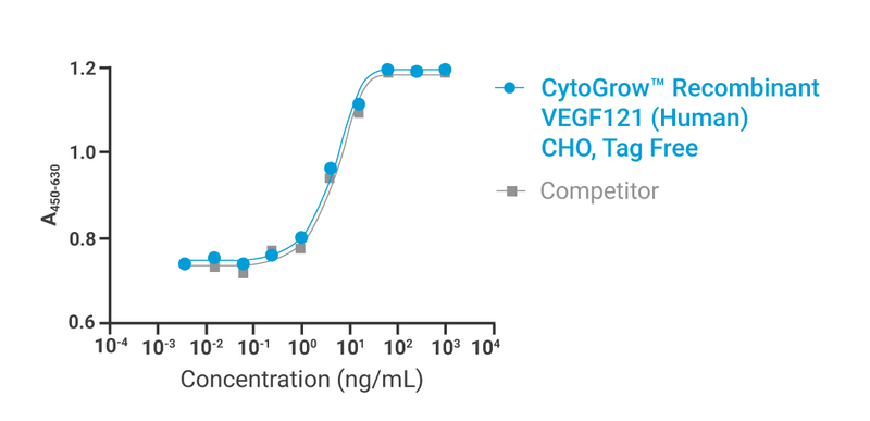 CytoGrow™ VEGF121 Human Recombinant Protein Bioactivity
