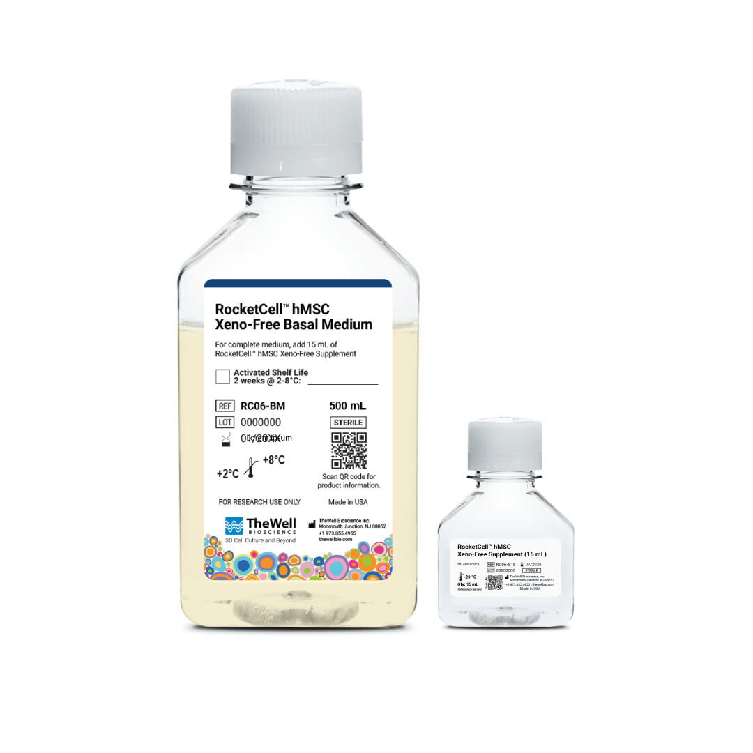 Two transparent glass bottles of RocketCell hMSC Xeno-Free Basal Medium, one large (500 mL) and one small, with white caps and a colorful patterned label at the bottom edge, for research use only