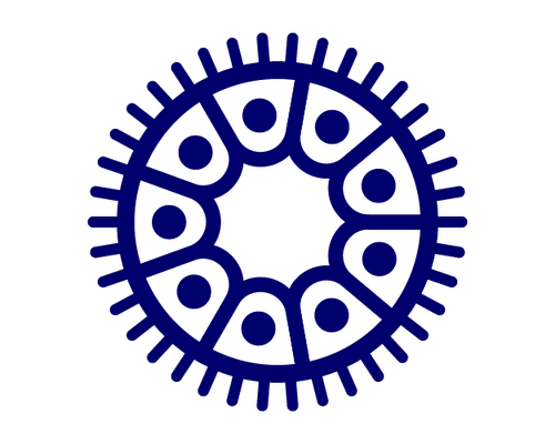Stylized circular wheel diagram with an outer ring of spokes and an inner segmented ring containing dots in blue.