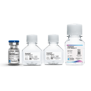 RocketCell™ Intestinal Organoid  Xeno-Free Growth Kit