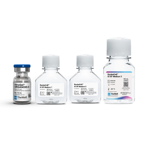 RocketCell™ Intestinal Organoid  Xeno-Free Growth Kit