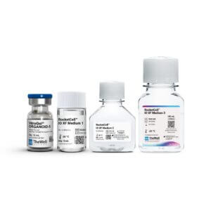 RocketCell™ Intestinal Organoid  Xeno-Free Growth Kit