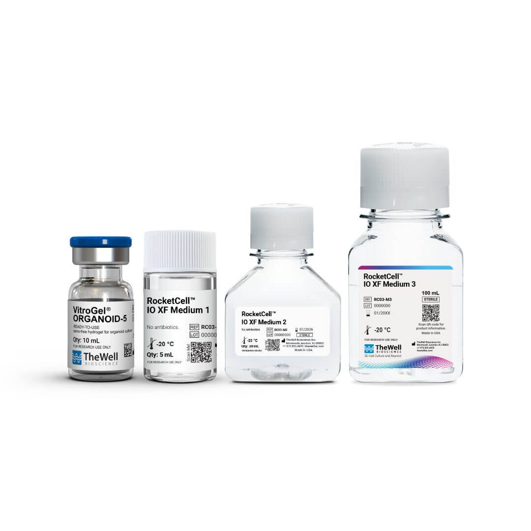 RocketCell™ Intestinal Organoid Xeno-Free Growth Kit