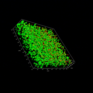RocketCell™ 3D iPSC Complete Growth Kit, AOF - Image 3
