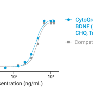 CytoGrow Recombinant BDNF (Human), CHO, Tag Free Bioactivity