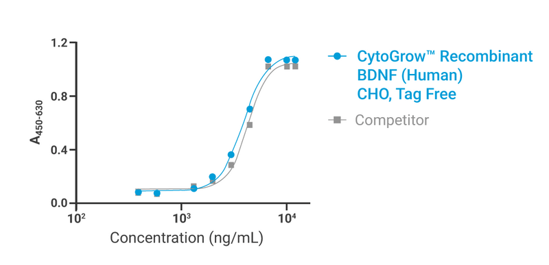 CytoGrow Recombinant BDNF (Human), CHO, Tag Free Bioactivity
