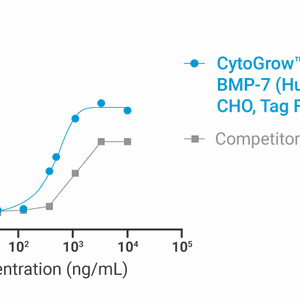 CytoGrow Recombinant BMP-7 (Human), CHO, Tag Free Bioactivity