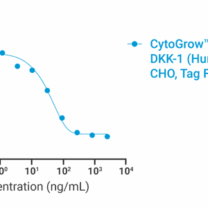 CytoGrow Recombinant DKK-1 (Human), CHO, Tag Free Bioactivity
