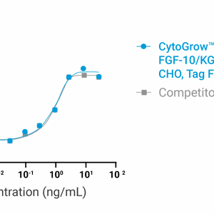 CytoGrow™ FGF-10/KGF2 (Human) Recombinant Protein Bioactivity