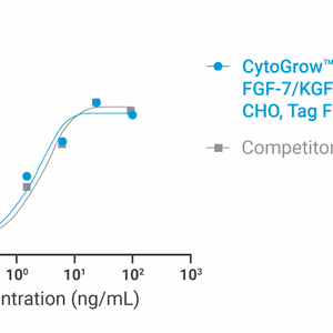 CytoGrow Recombinant FGF-7/KGF (Human), CHO, Tag Free Bioactivity