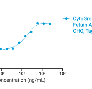 CytoGrow™ Recombinant Fetuin A (Bovine), CHO, Tag Free Bioactivity