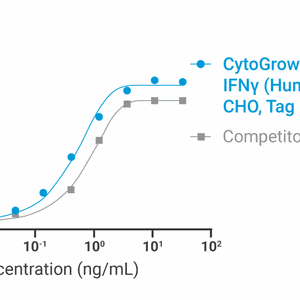 CytoGrow Recombinant IFNγ (Human), CHO, Tag Free Bioactivity