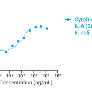 CytoGrow Recombinant IL-6 (Bovine), E. coli, Tag Free Bioactivity