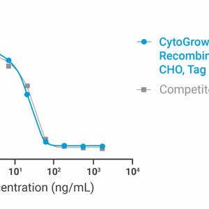 CytoGrow Recombinant Noggin (Human), CHO, Tag Free Bioactivity