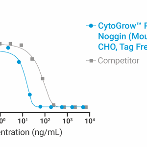 CytoGrow Recombinant Noggin (Mouse), CHO, Tag Free Bioactivity