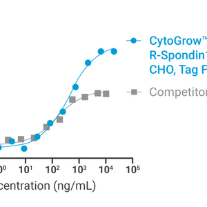 CytoGrow Recombinant R-Spondin1 (Human), CHO, Tag Free Bioactivity