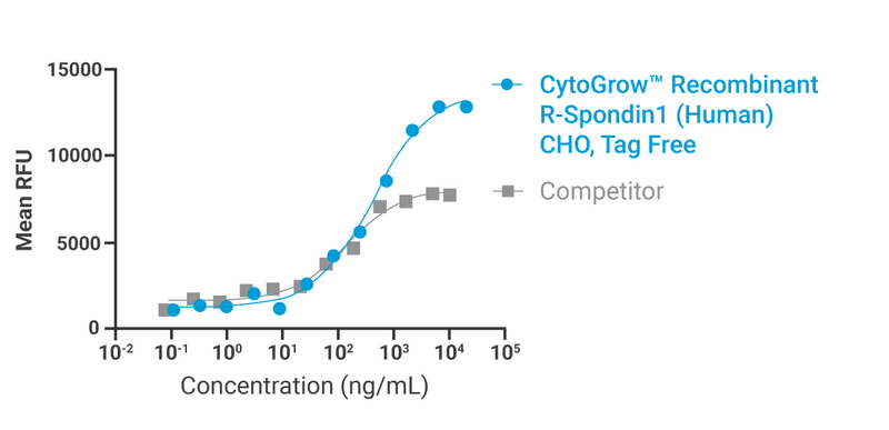 CytoGrow Recombinant R-Spondin1 (Human), CHO, Tag Free Bioactivity
