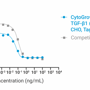 CytoGrow Recombinant TGF-β1 (Human), CHO, Tag Free Bioactivity