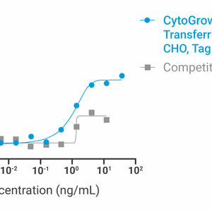 CytoGrow Recombinant Transferrin-APO (Human), CHO, Tag Free Bioactivity