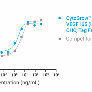 CytoGrow Recombinant VEGF165 (Human), CHO, Tag Free Bioactivity