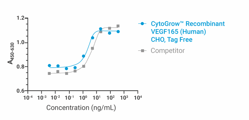 CytoGrow Recombinant VEGF165 (Human), CHO, Tag Free Bioactivity
