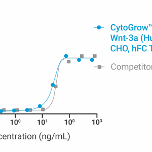 CytoGrow Recombinant Wnt-3a (Human), CHO, hFC Tag Bioactivity