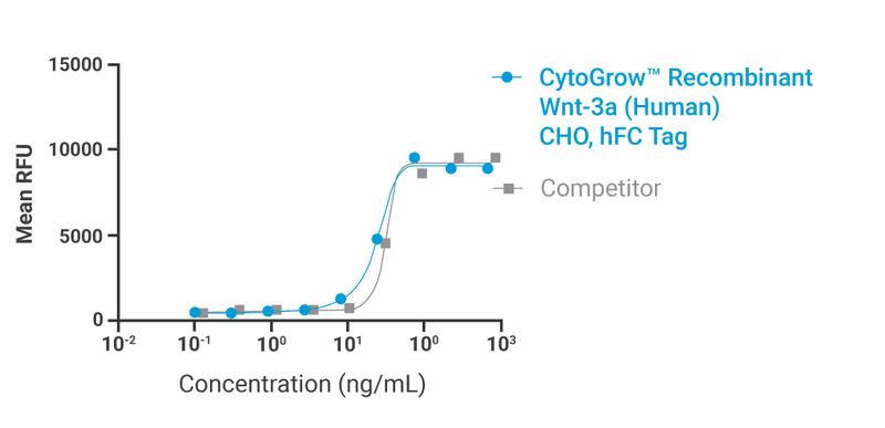 CytoGrow Recombinant Wnt-3a (Human), CHO, hFC Tag Bioactivity