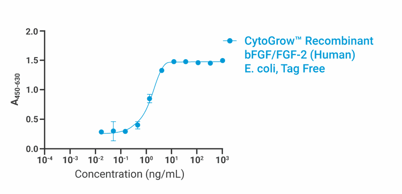CytoGrow bFGF/FGF-2 (Human) Ecoli Recombinant Protein Bioactivity