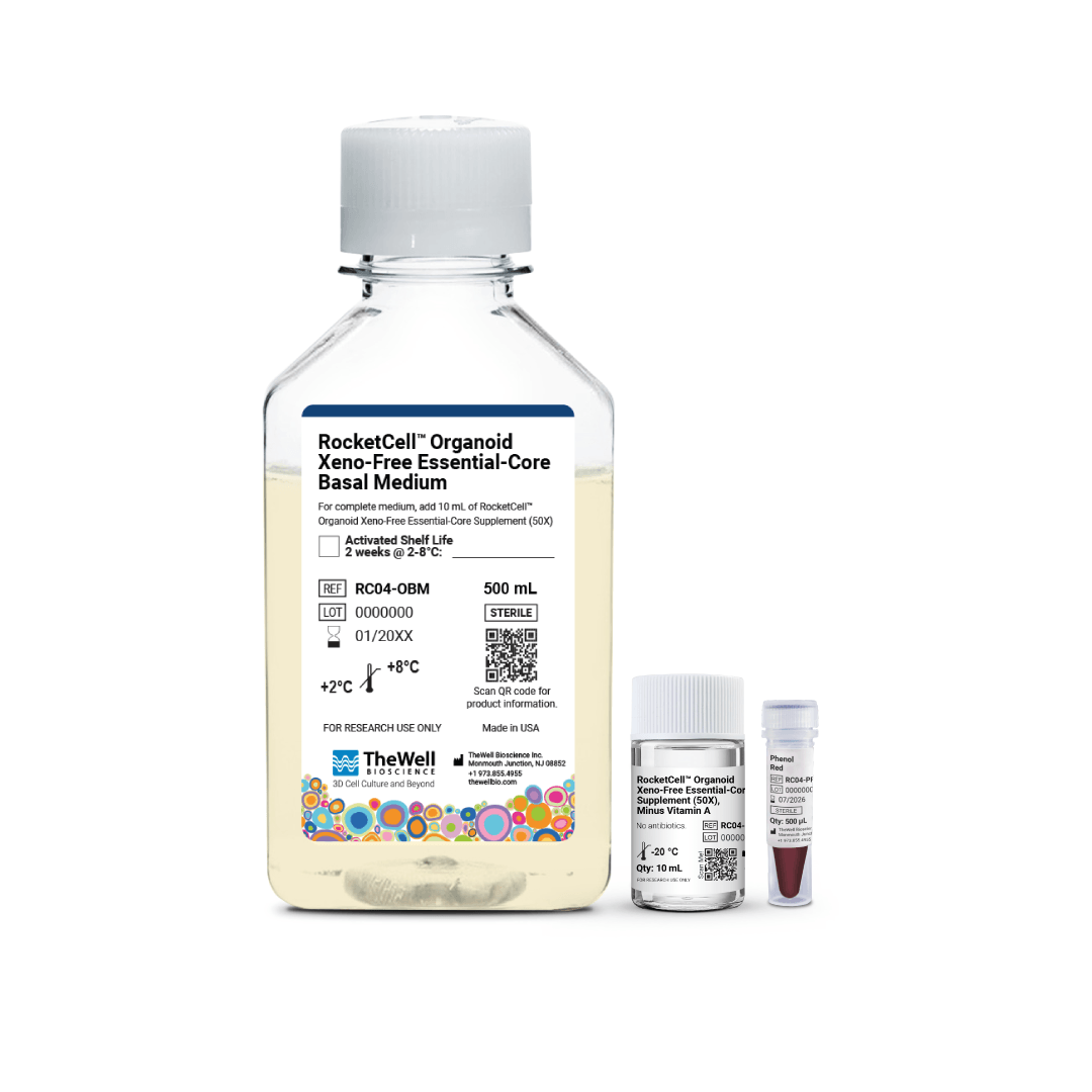 Clear front view of a large glass bottle labeled 'RocketCell Organoid Xeno-Free Essential-Core Basal Medium' with a white cap, and two smaller vials beside it on a white background, indicating a lab growth medium kit.