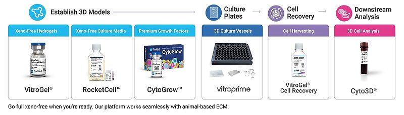 Flowchart of a 3D cell culture workflow with product cards: VitroGel Hydrogels, RocketCell, CytoGrow, Vitroprime, VitroGel Cell Recovery, Cyto3D, ending in Downstream Analysis.