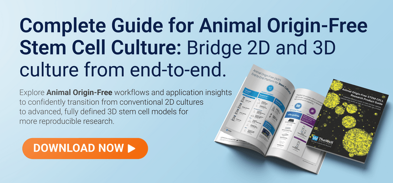 Promotional banner for an Animal Origin-Free stem cell culture guide with a large orange Download Now button and brochures on the right.