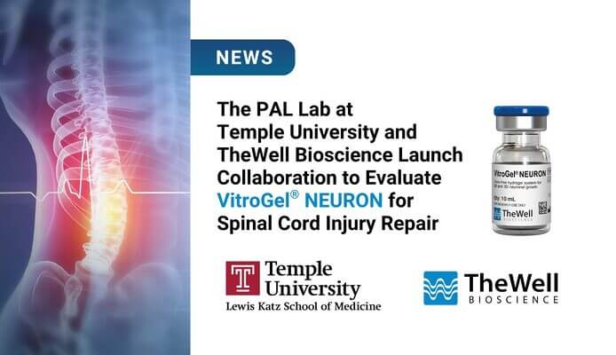 News banner about The PAL Lab collaboration to test VitroGel NEURON for spinal cord injury repair, with a spine image on the left and a vial on the right.