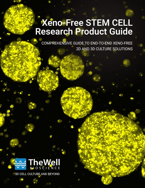 Cover image for 'Xeno-Free STEM CELL Research Product Guide' with yellow glowing cell clusters on a dark background and subtitle about 2D/3D culture solutions; TheWell Bioscience logo visible.
